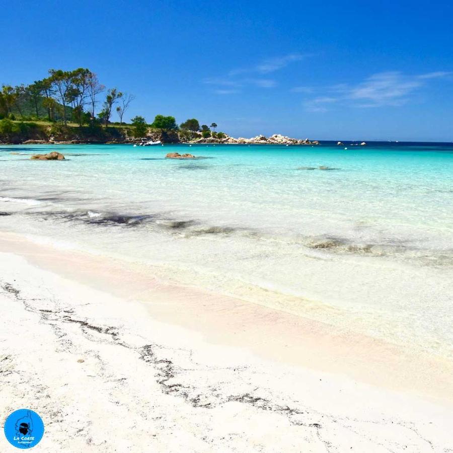 Joli Studio Maisonnette A 100M De La Plage ポルティシオ エクステリア 写真